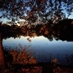 Trenton/Brighton/Belleville