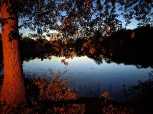 Read more about the article Trenton/Brighton/Belleville