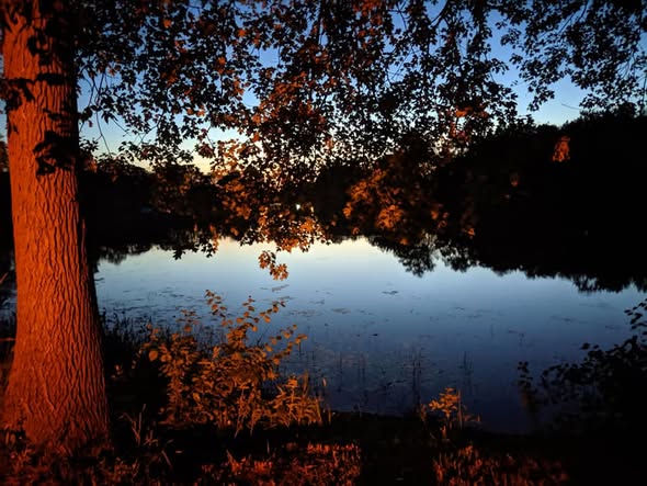 Read more about the article Trenton/Brighton/Belleville